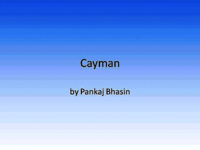 PORSCHE 718 Cayman