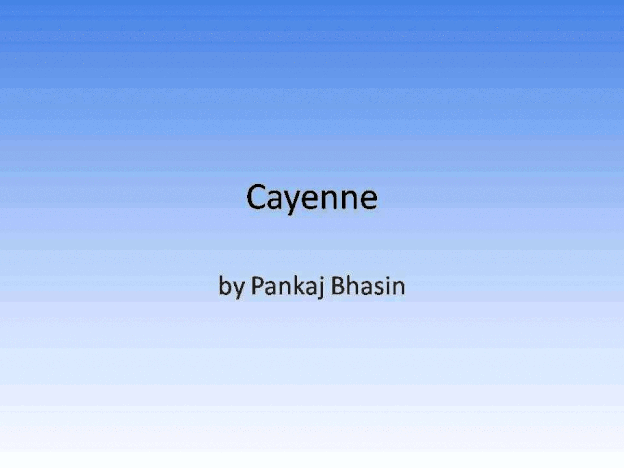 PORSCHE Cayenne